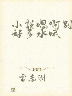 小说嗯啊别舔了好多水哦