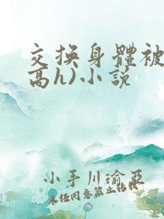交换身体被c(高h)小说