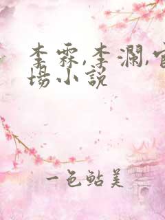 李霖,李澜,官场小说