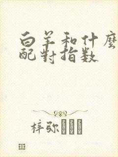 白羊和什么座最配对指数