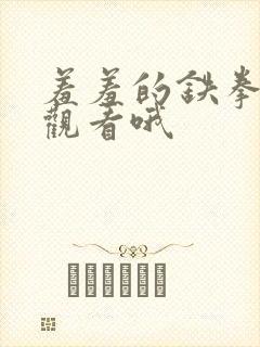 羞羞的铁拳免费观看哦