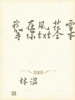 我在风花雪月里等你txt全本下载