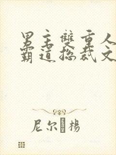 男主双重人格的霸道总裁文