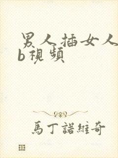 男人插女人的bb视频