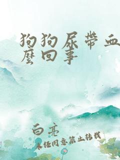 狗狗尿带血色怎么回事