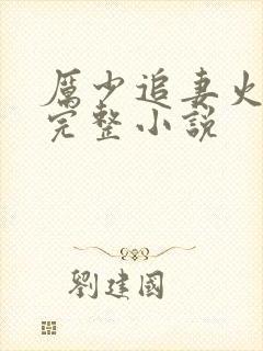 厉少追妻火葬场完整小说