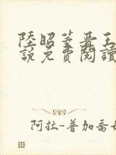 陆昭菱晋王的小说免费阅读