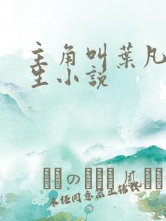 主角叫叶凡的重生小说