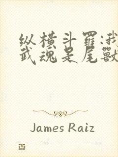 纵横斗罗:我的武魂是尾兽