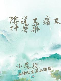 阴道又痛又痒用什么药