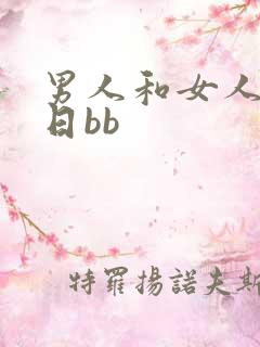 男人和女人一起日bb