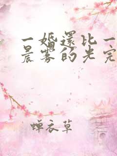 一婚还比一婚高晨雾的光完结