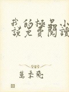 我的极品小姨小说免费阅读