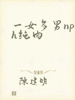 一女多男np高h纯肉