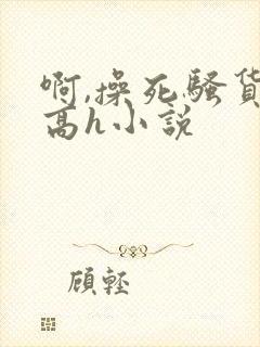 啊,操死骚货了高h小说