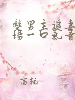 双男主追妻火葬场一口气看完