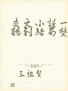 爽文小说一口气听到结局双男主