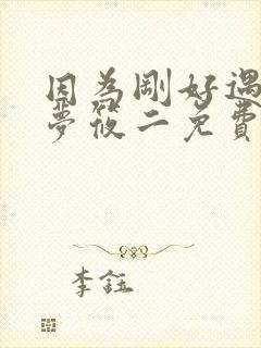 因为刚好遇见你梦筱二免费阅读