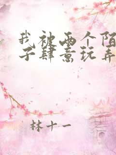 我被两个陌生男子肆意玩弄小说