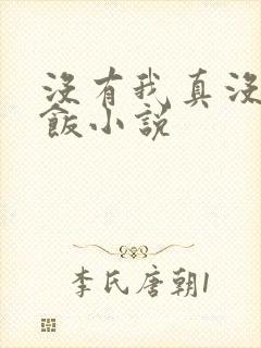 没有我真没吃软饭小说