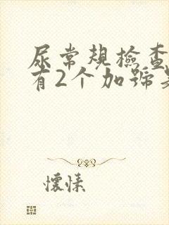 尿常规检查隐血有2个加号是怎么回事