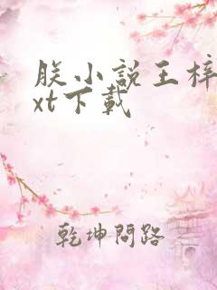 朕小说王梓钧txt下载