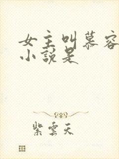 女主叫慕容雪的小说是