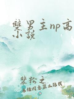 双男主np高h小说