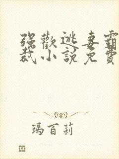 强欢逃妻霸道总裁小说免费阅读全文