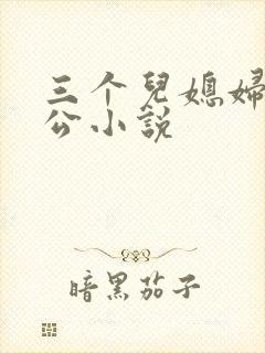 三个儿媳妇与公公小说