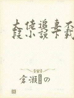 大佬追妻不择手段小说下载txt