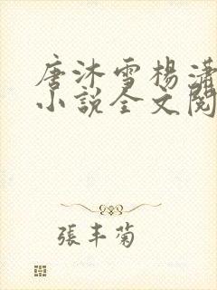 唐沐雪杨潇免费小说全文阅读