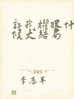 许我耀眼什么时候大结局