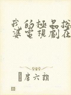 我的极品总裁老婆电视剧在线观看