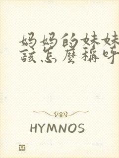 妈妈的妹妹老公该怎么称呼