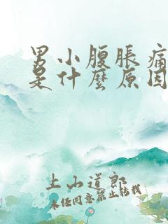 男小腹胀痛尿频是什么原因