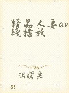 精品人妻av在线播放