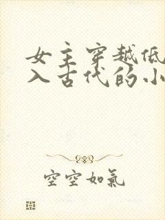 女主穿越低调融入古代的小说