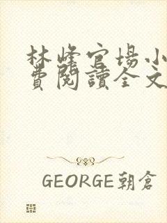 林峰官场小说免费阅读全文最新章节下载