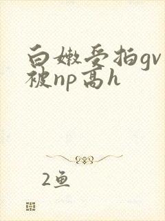 白嫩受拍gv片被np高h