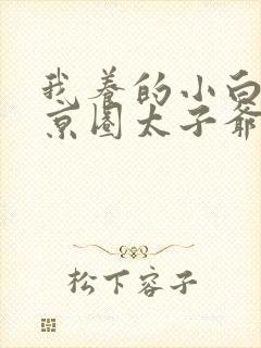 我养的小白脸是京圈太子爷大结局