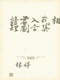 请君入我相思局短剧合集