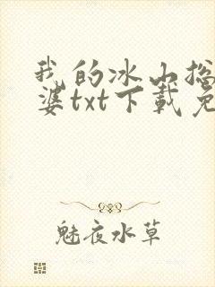 我的冰山总裁老婆txt下载免费