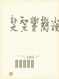 许知谢燃小说全文免费阅读