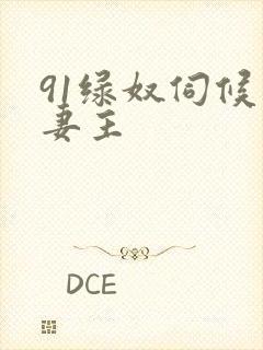 91绿奴伺候夫妻主