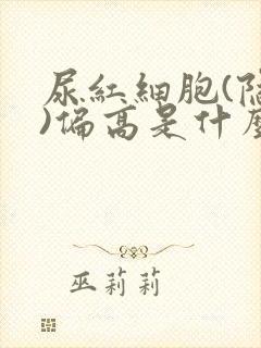 尿红细胞(隐血)偏高是什么原因