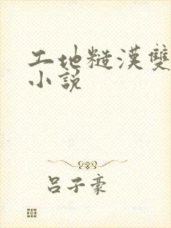 工地糙汉双男主小说