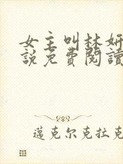 女主叫林妍的小说免费阅读