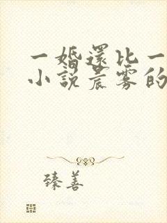 一婚还比一婚高小说晨雾的光