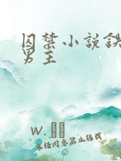 囚禁小说铁链双男主